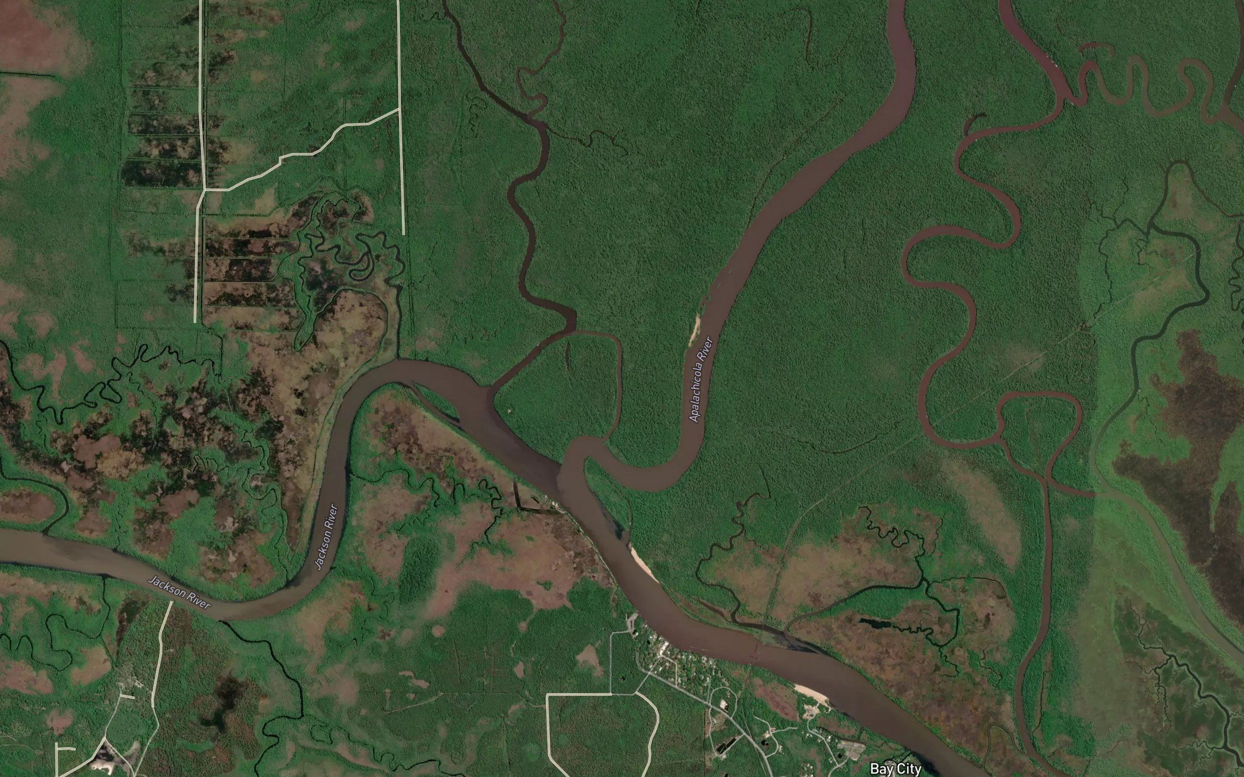 Saul Creek Cut Off