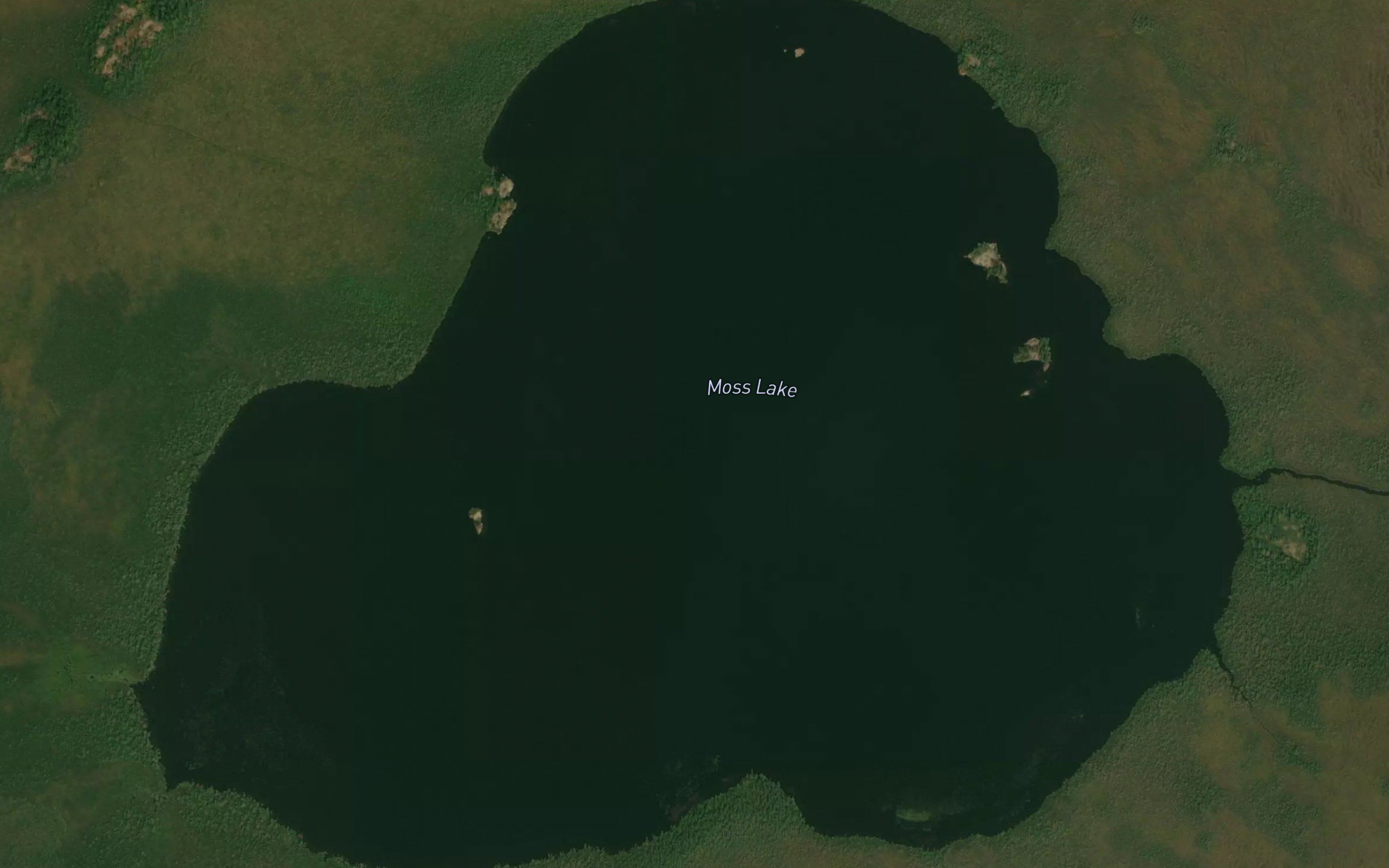 Moss Lake