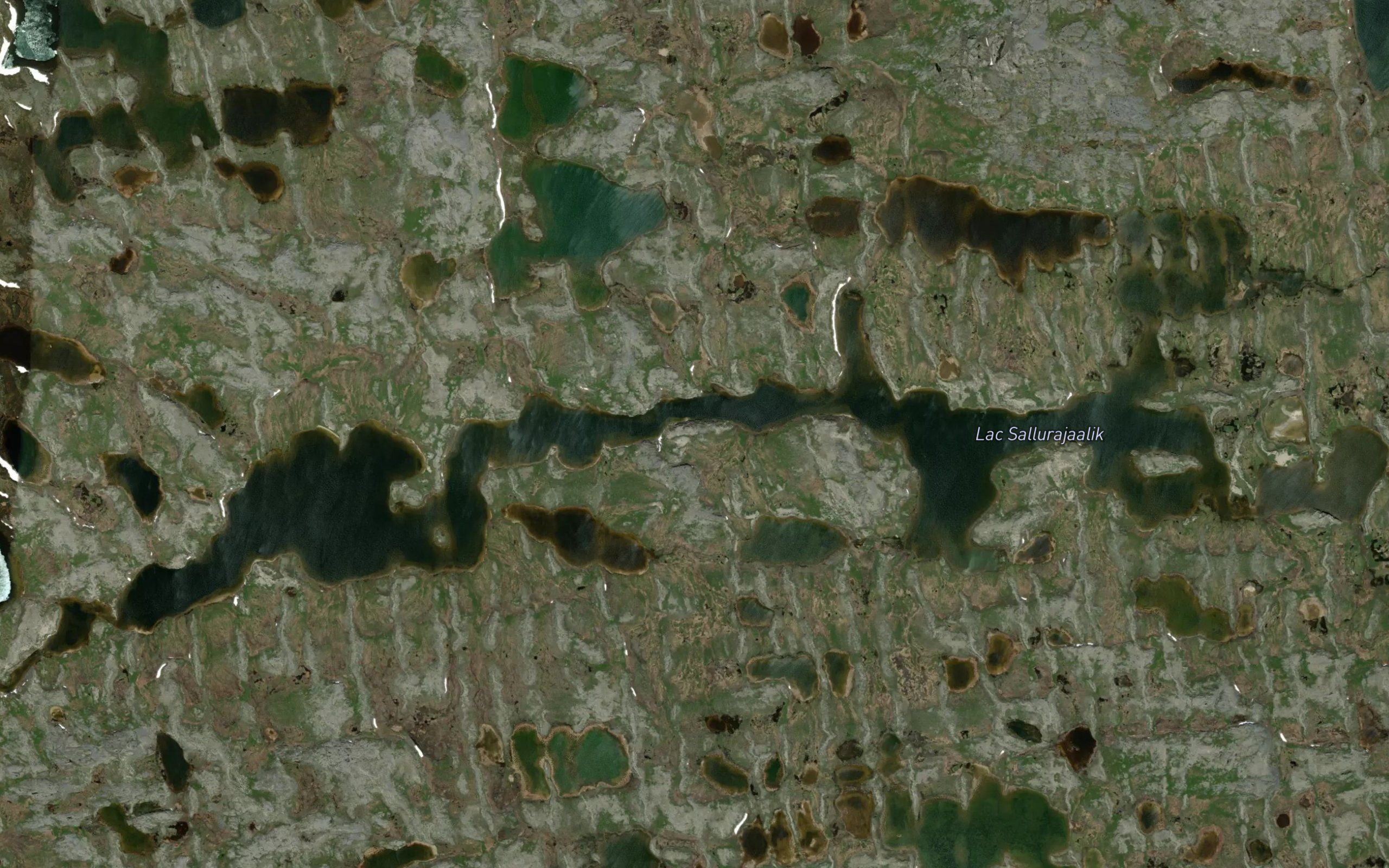 Lac Sallurajaalik