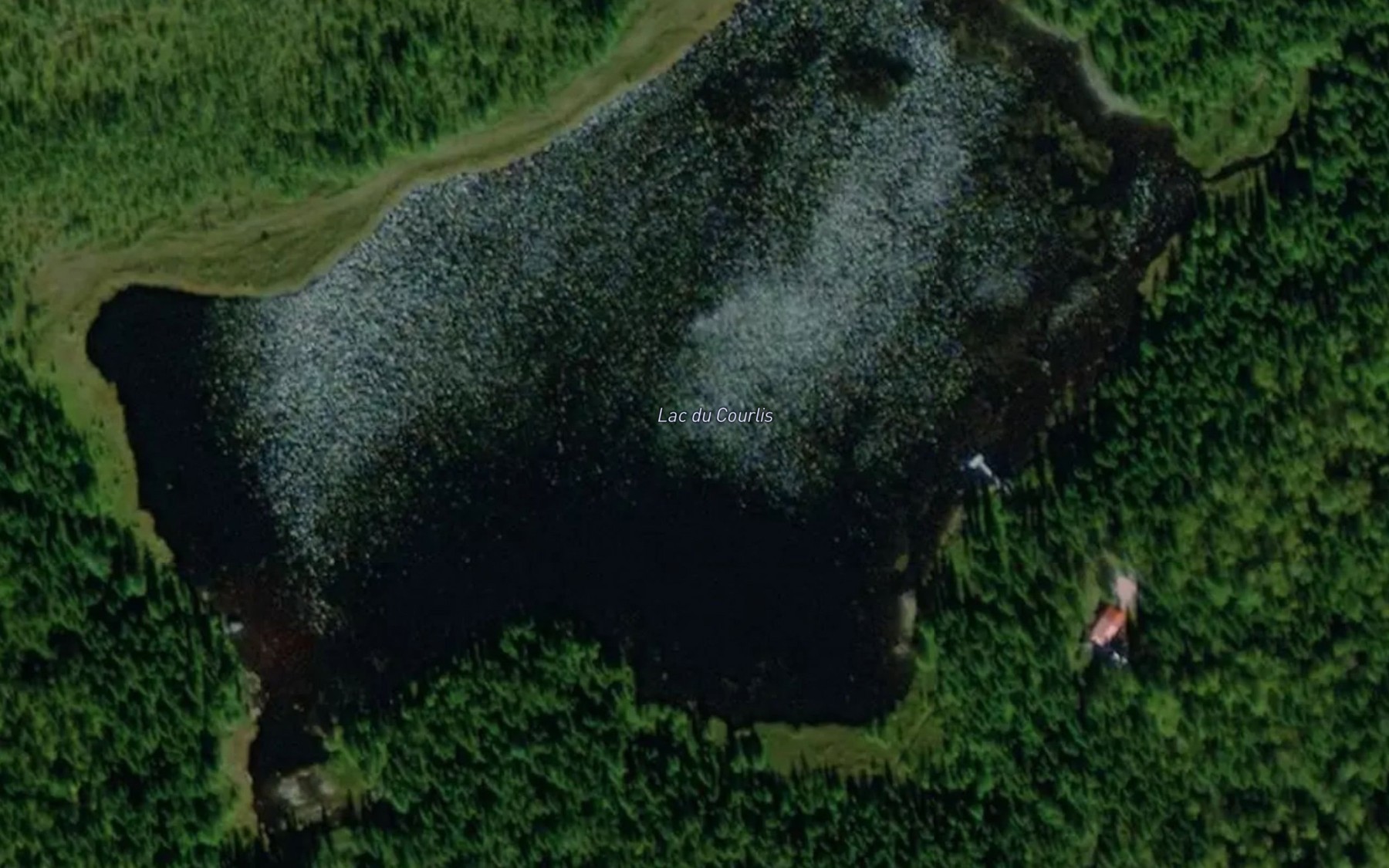 Satellite map of the Lac du Courlis