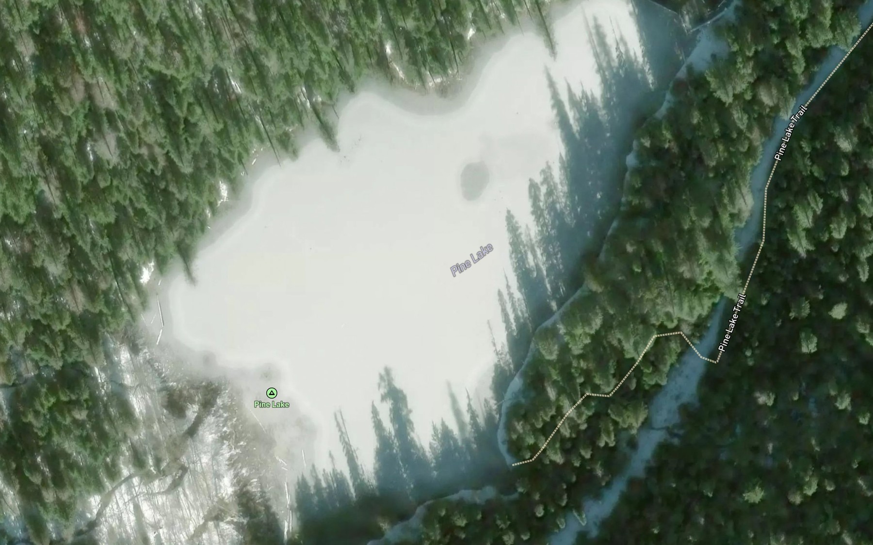Satellite map of the Pine Lake