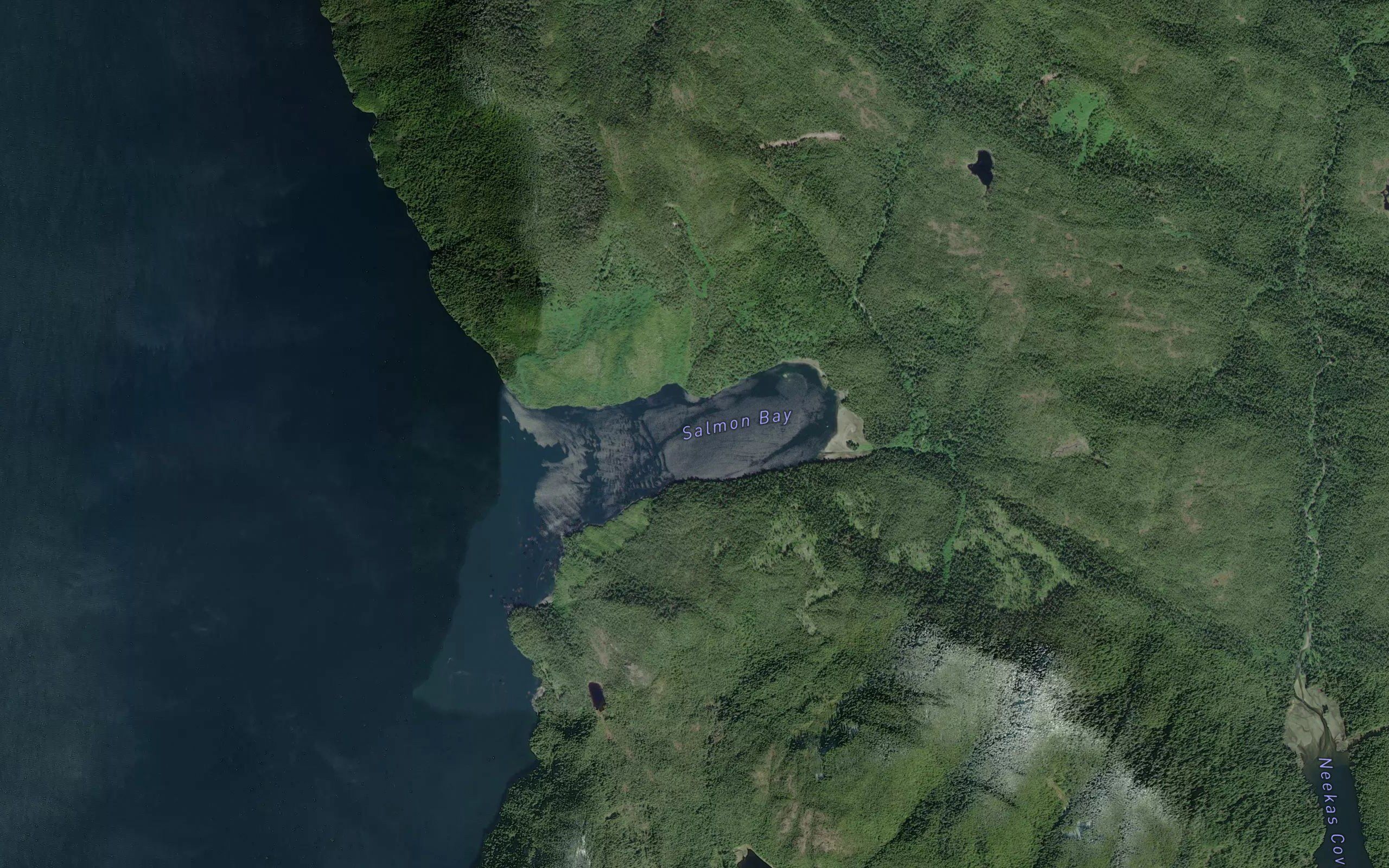 Salmon Bay