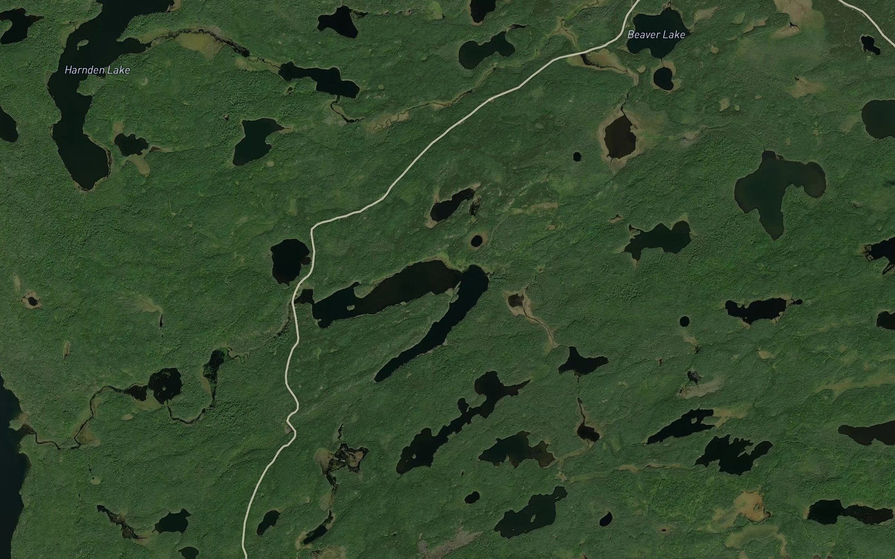 Satellite map of the Horseshoe Lake