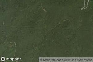 Little Buzzard Branch