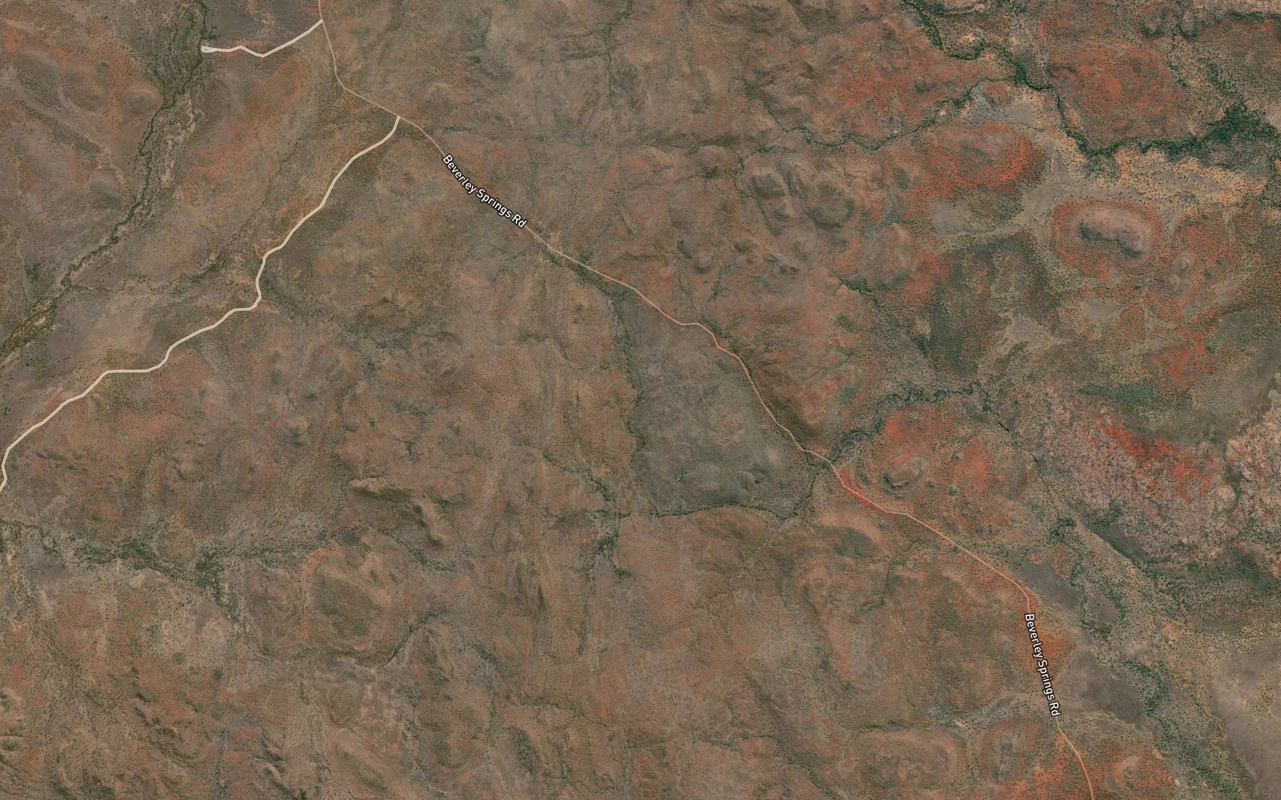 Kangaroo Spring