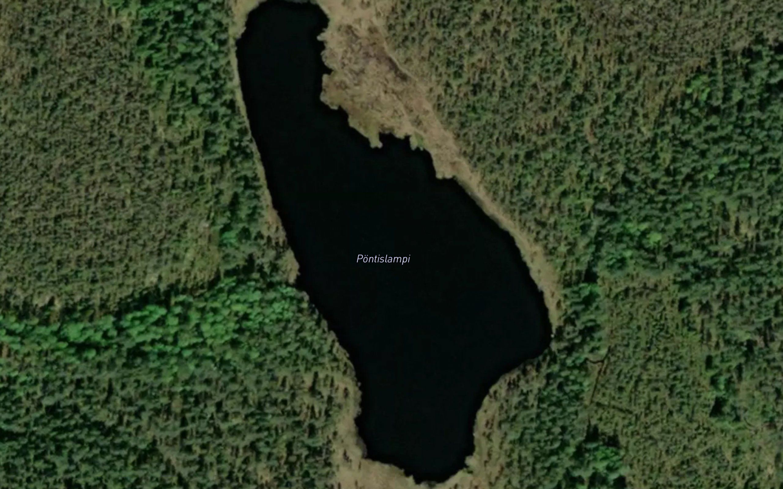 Pontislampi
