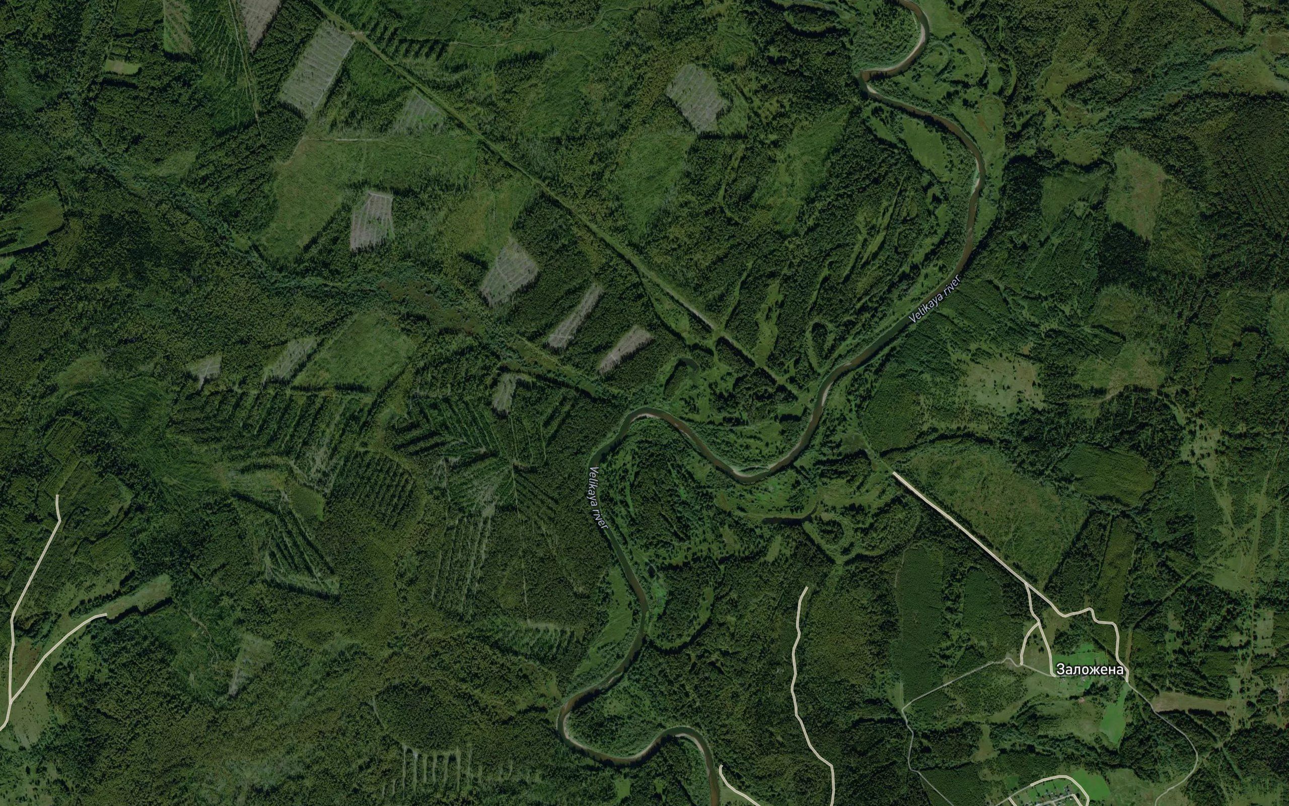 Kulimovka