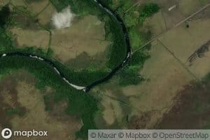 Congo Buckleyow Creek