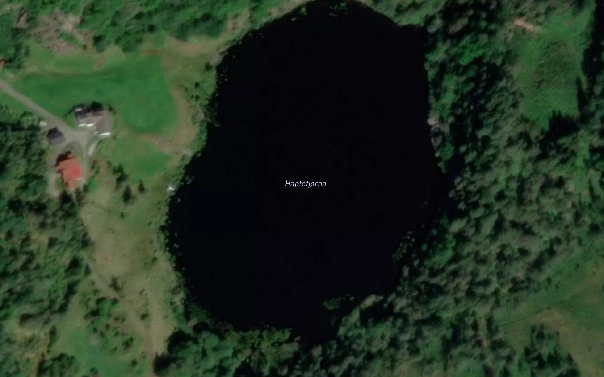 Haptetjorna