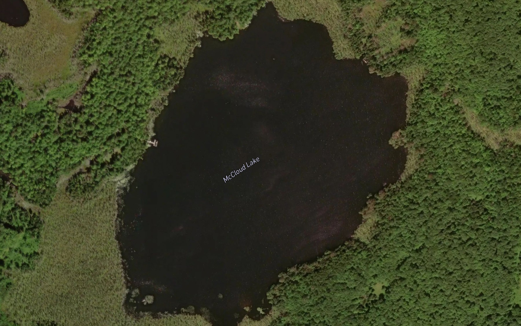 Satellite map of the McCloud Lake