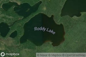 Roddy Lake