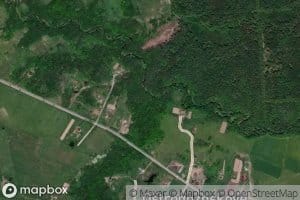 Berezka
