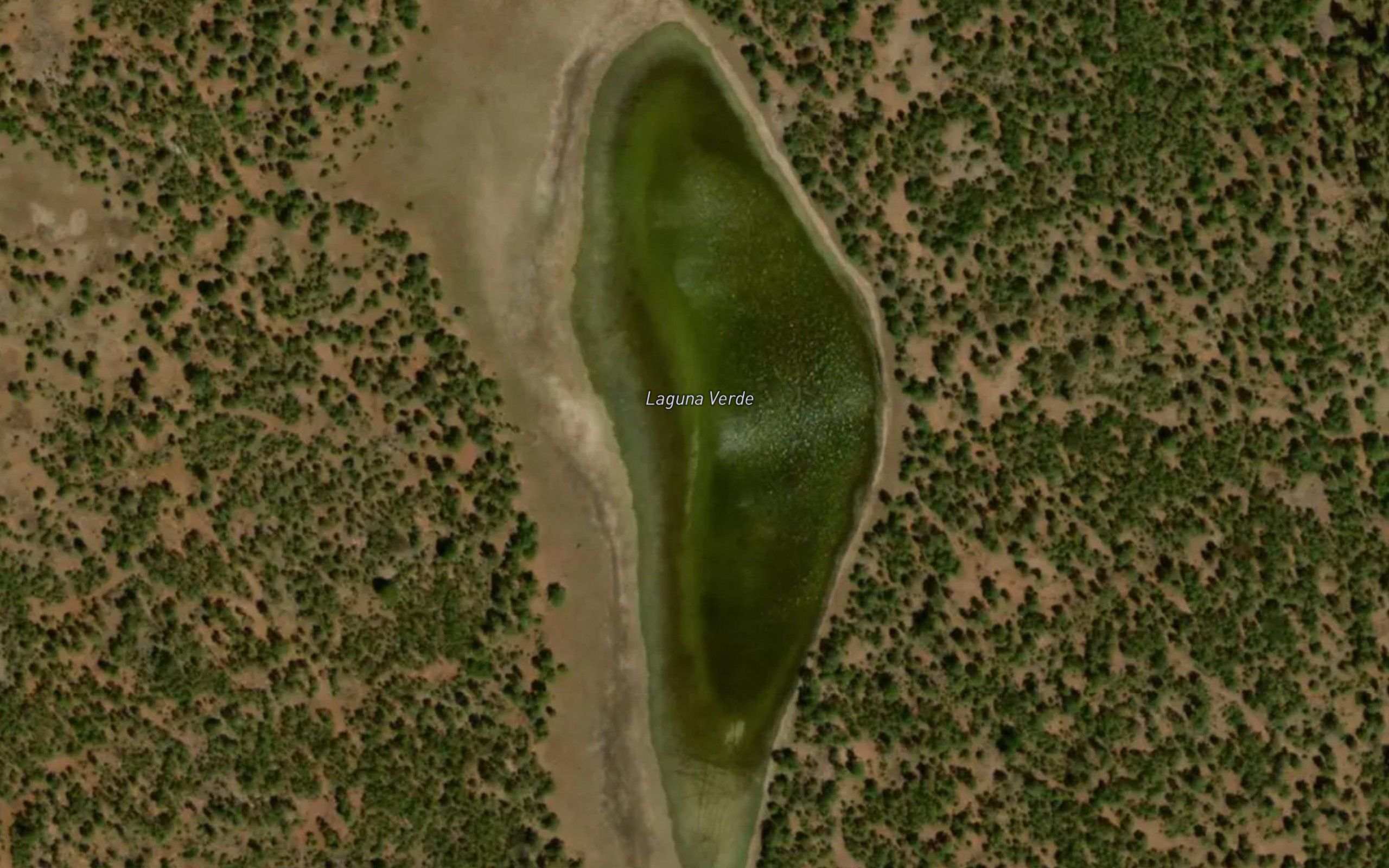 Laguna Verde