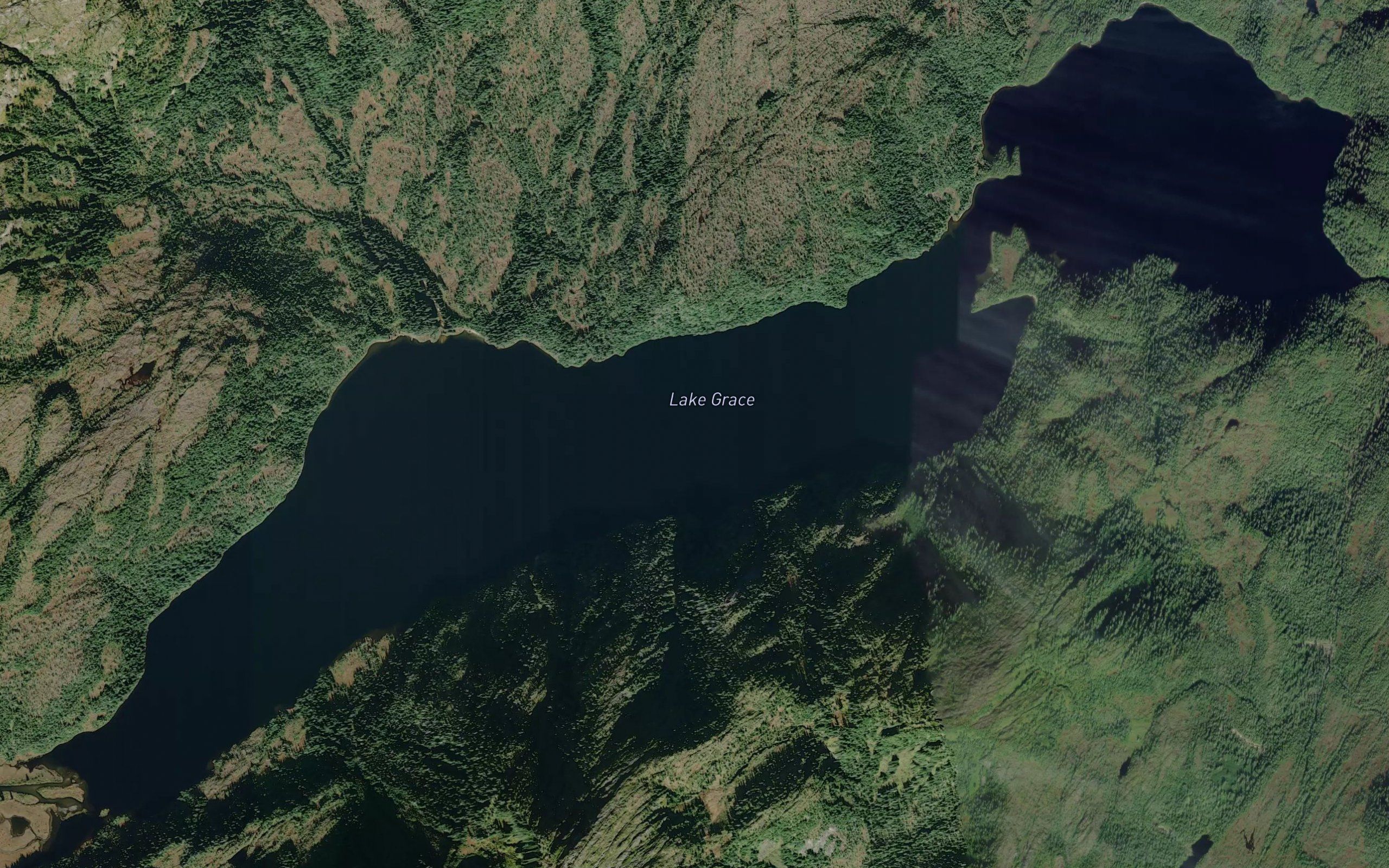 Lake Grace