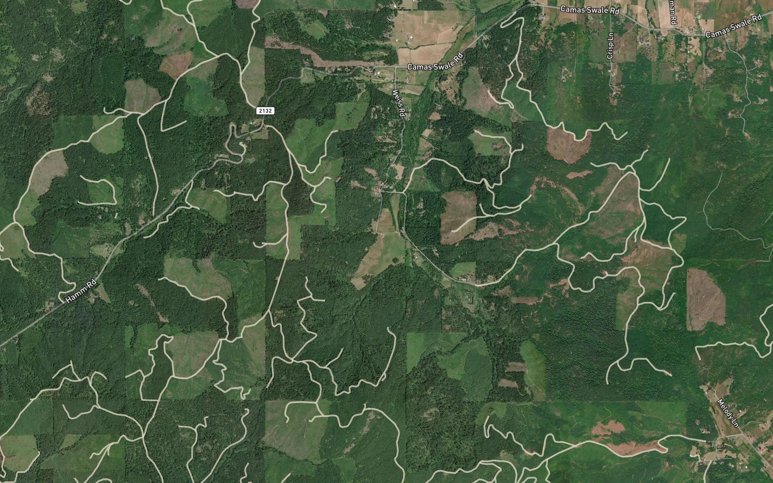 Skunk Creek