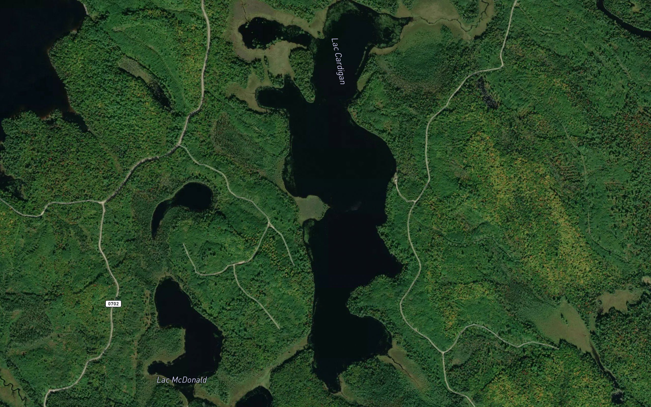 Lac Cardigan
