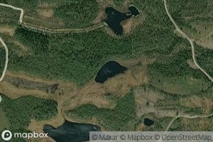 Tiihvanansarkanlampi