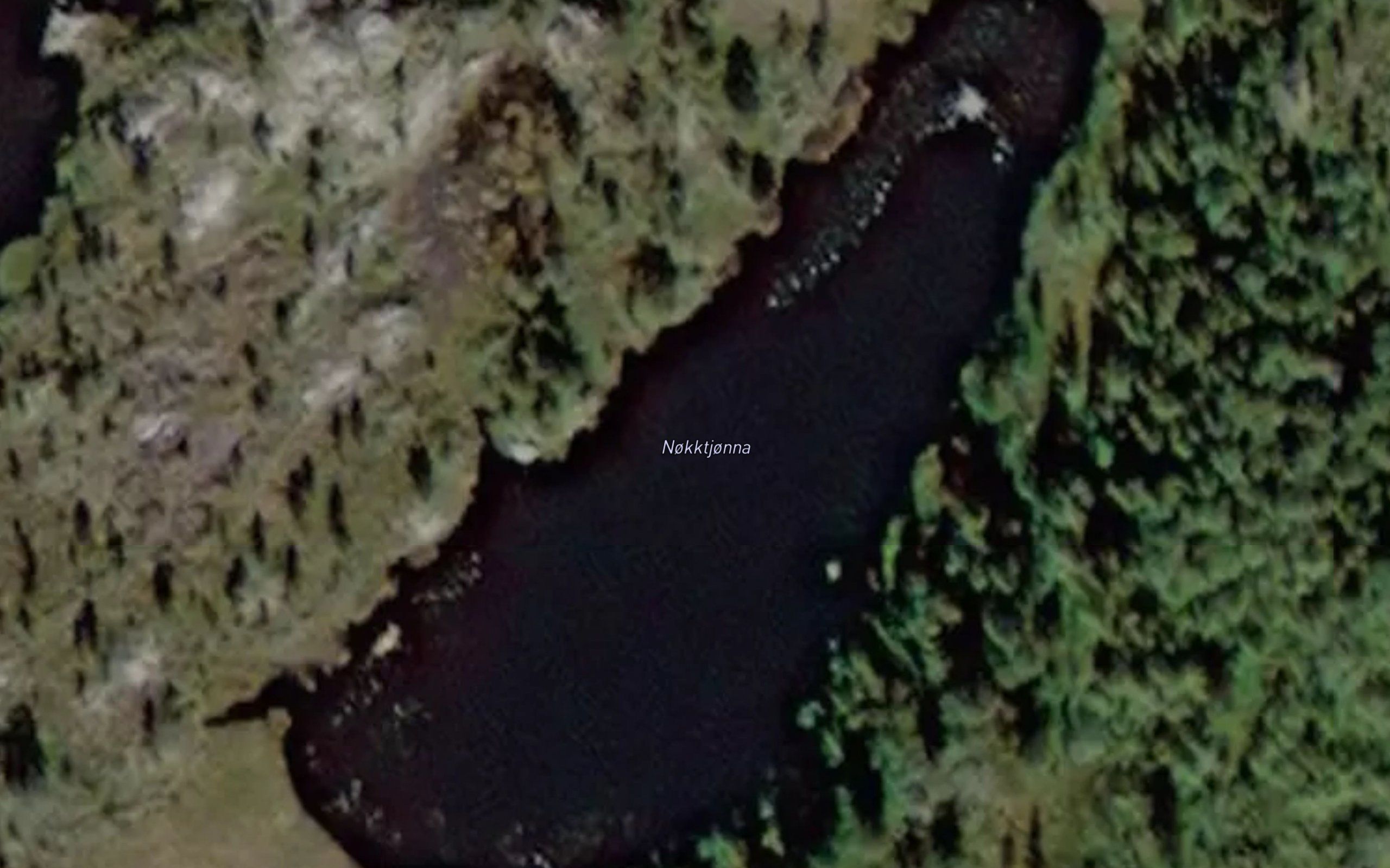 Nokktjorna