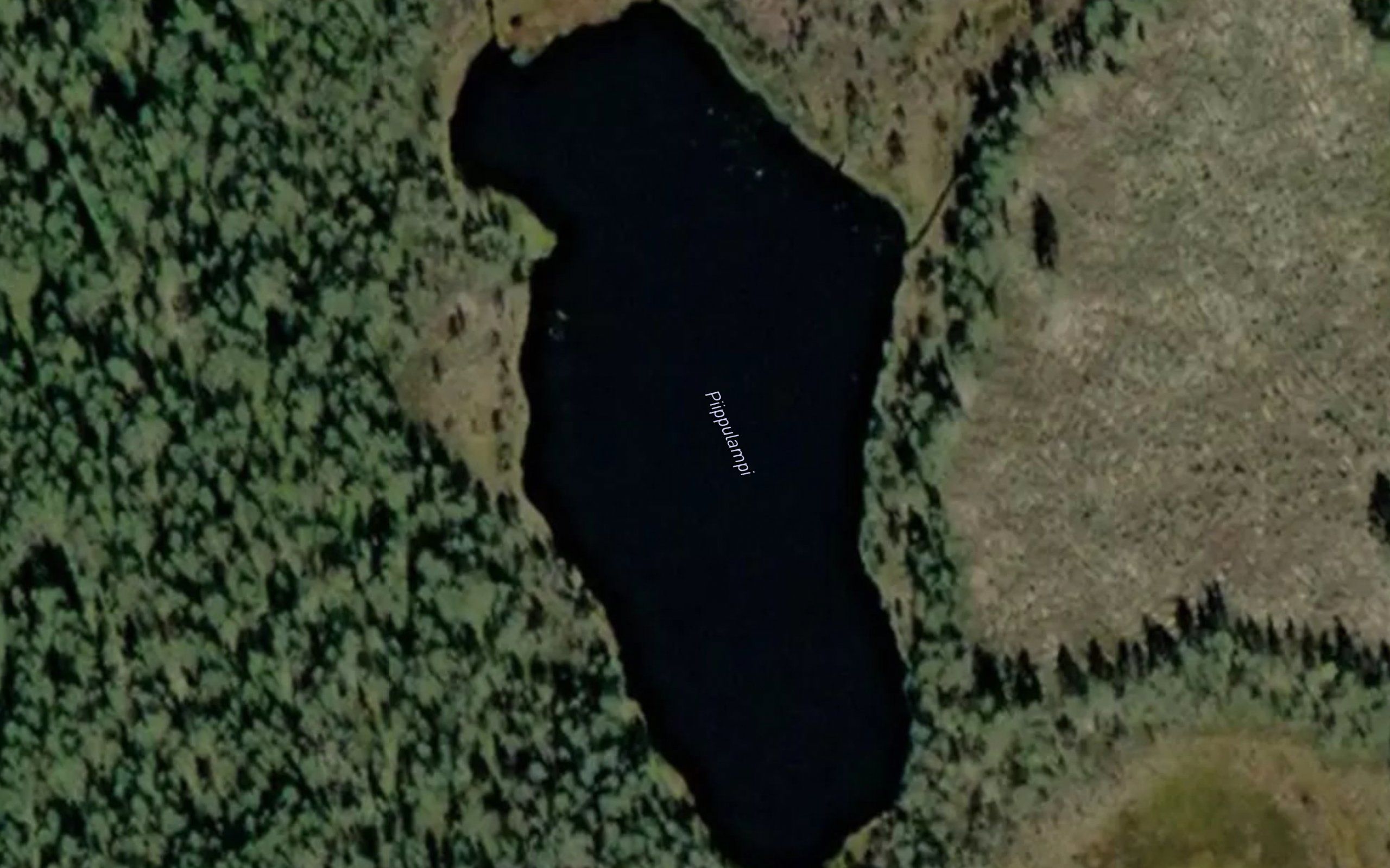 Piippulammit