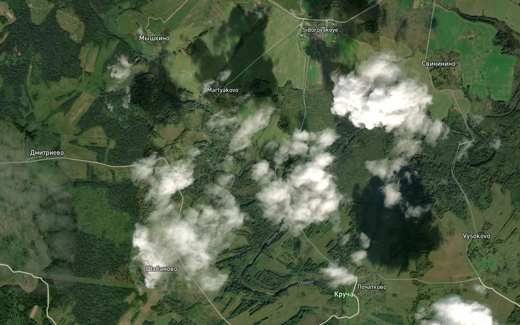 Satellite map of the Velikusha
