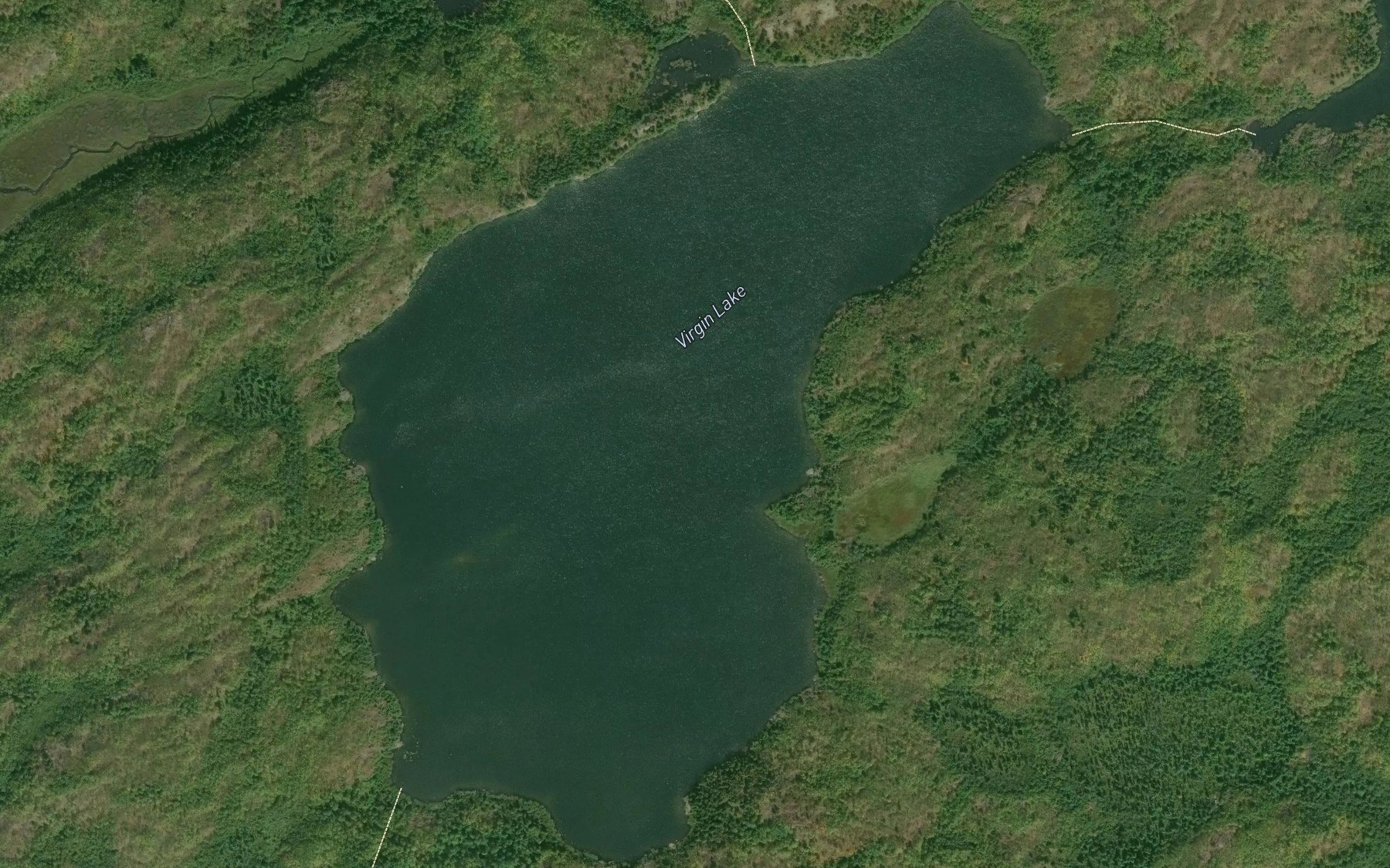 Satellite map of the Virgin Lake