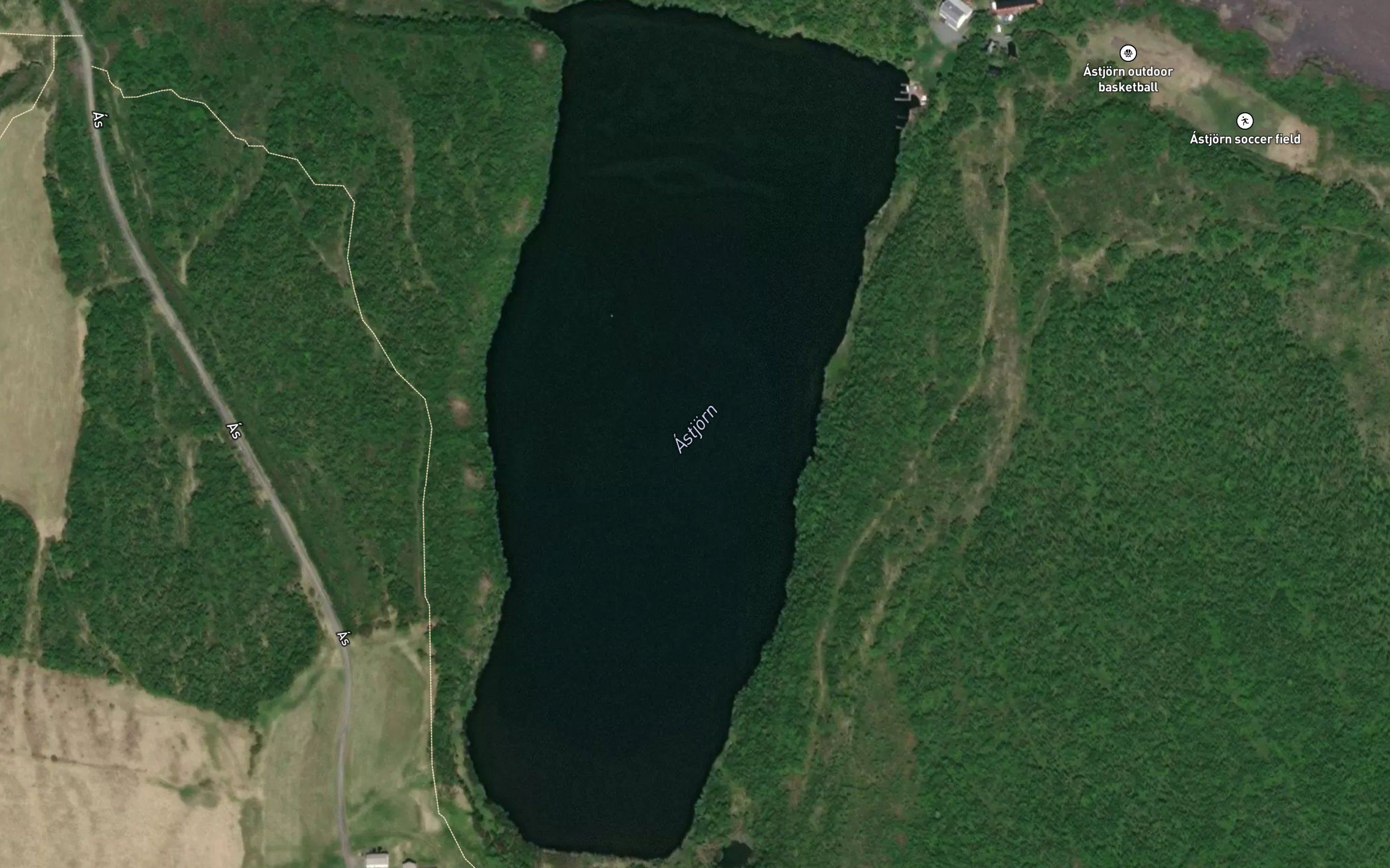 Astjorn