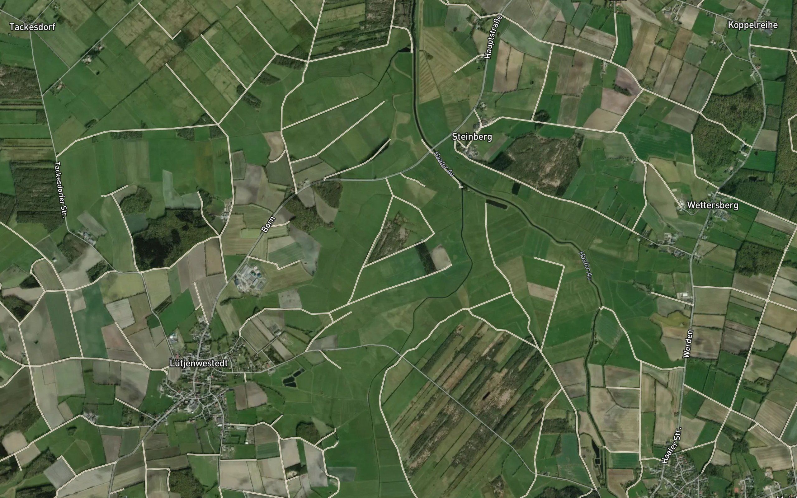 Fuhlenau