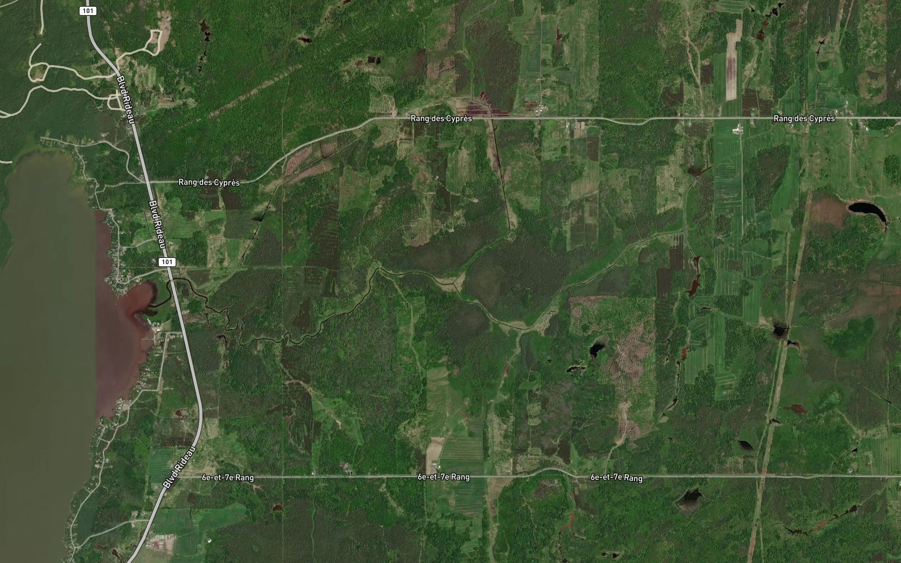 Satellite map of the Branche Lauzon