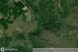 Harvey Creek