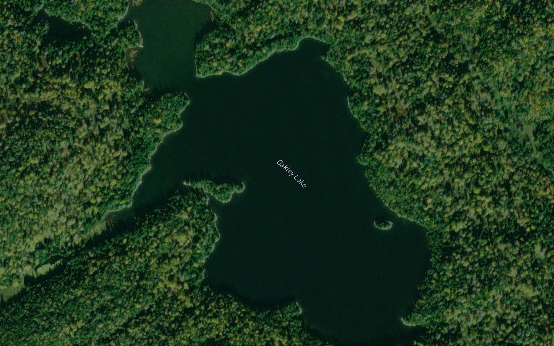 Satellite map of the Oakley Lake