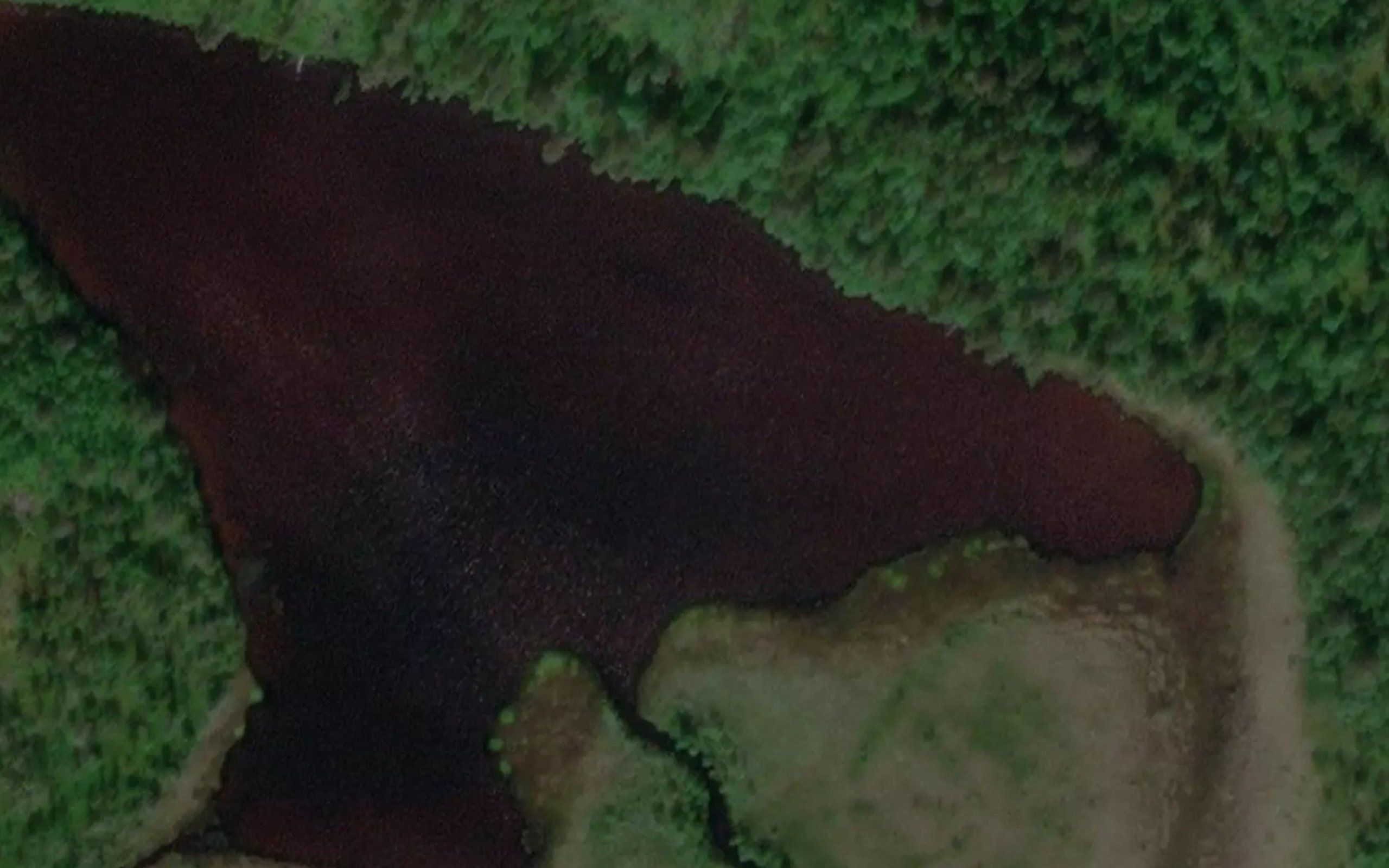 Nerastjorna
