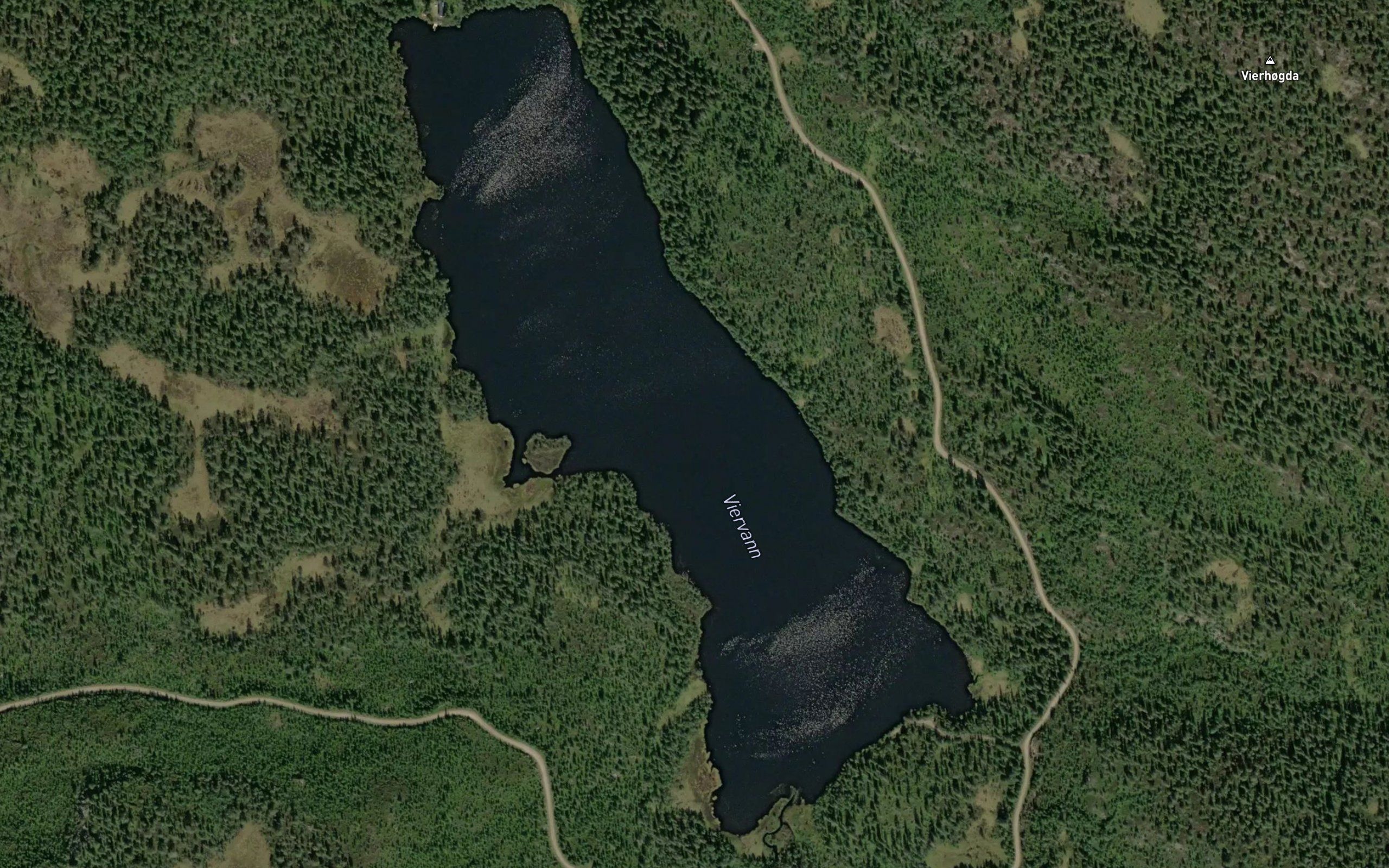Viervann