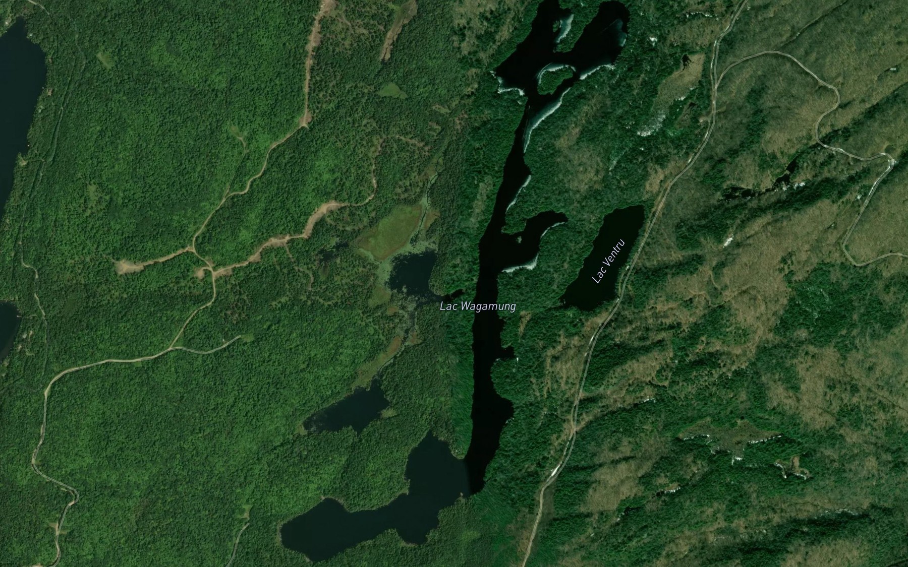 Satellite map of the Lac Wagamung