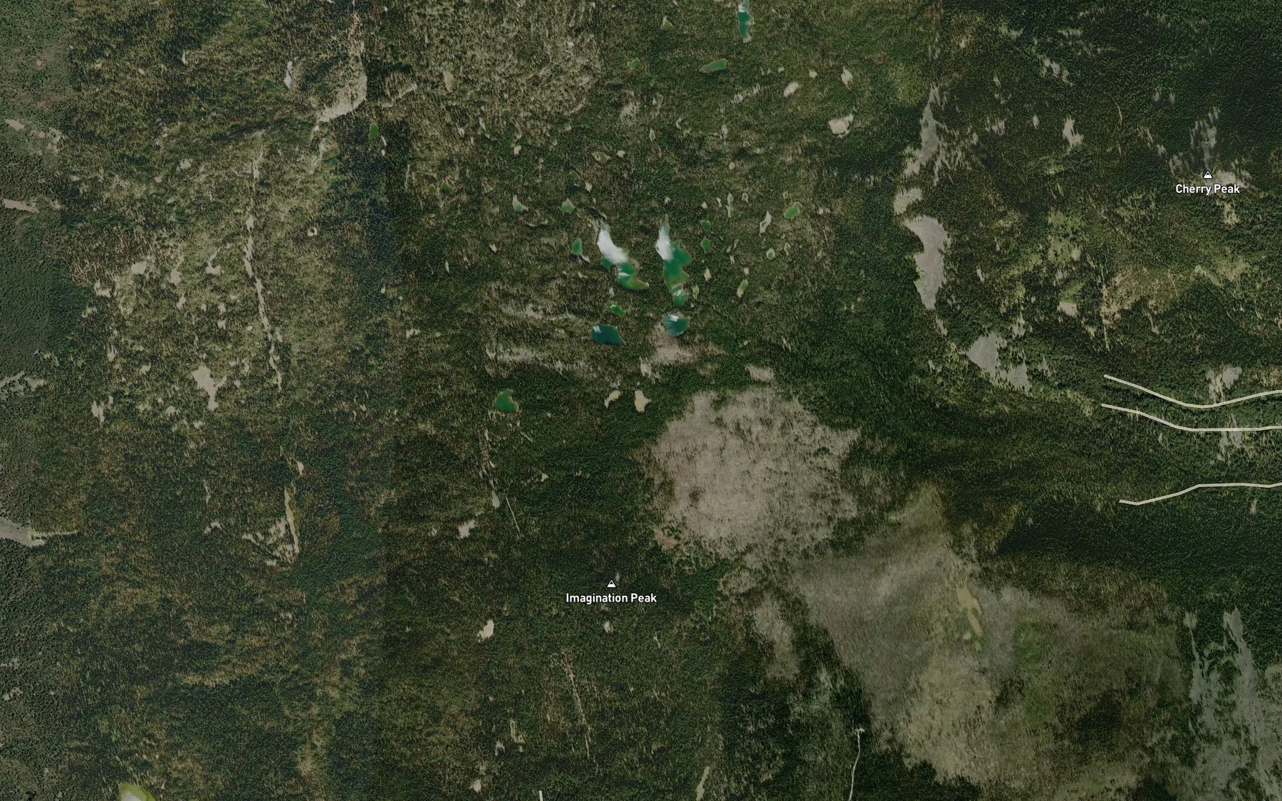 Satellite map of the Punky Lake