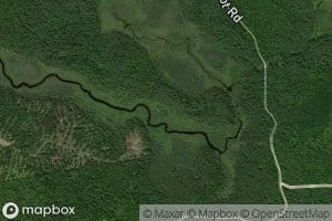 Upper Taylor Brook