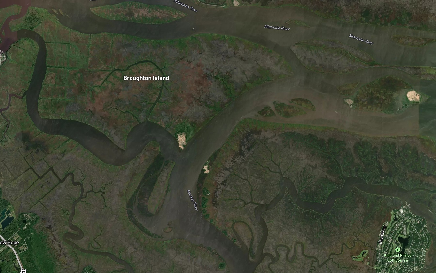 Satellite map of the Buttermilk Sound