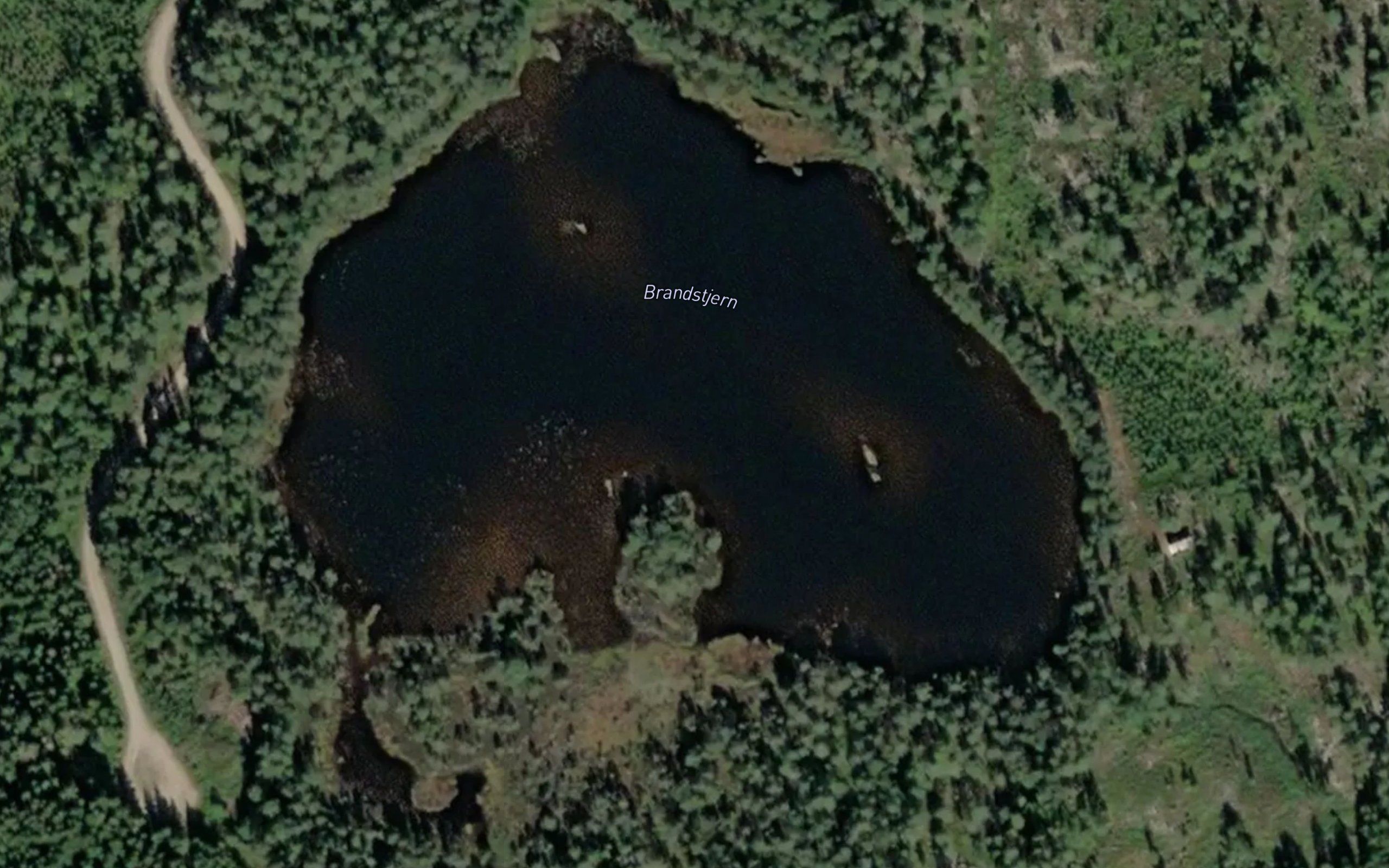Branntjern
