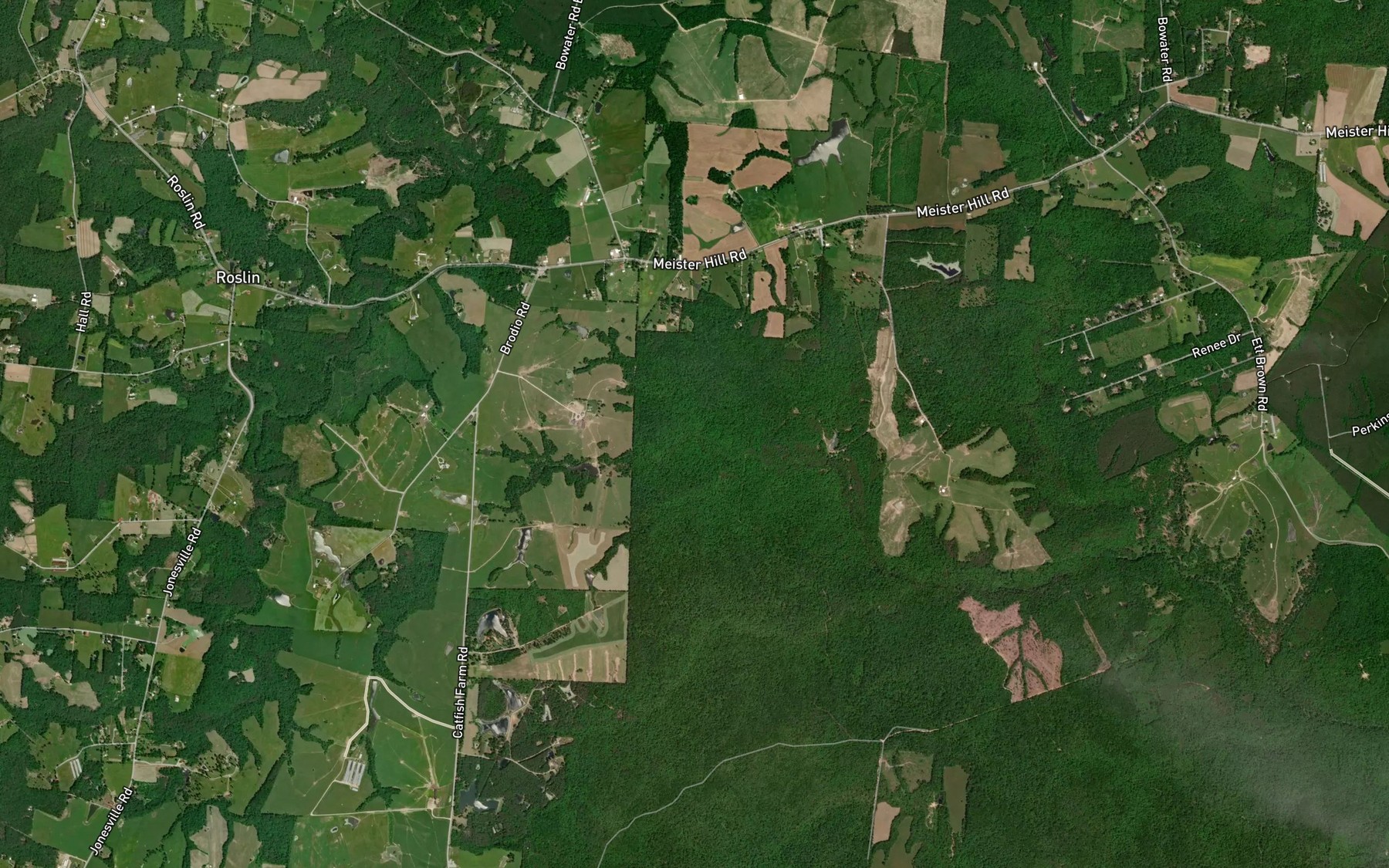 Satellite map of the Palm Branch