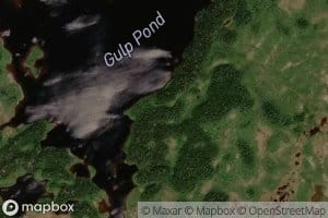 Gulp Pond