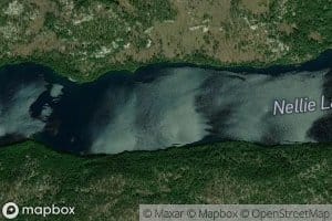 Nellie Lake