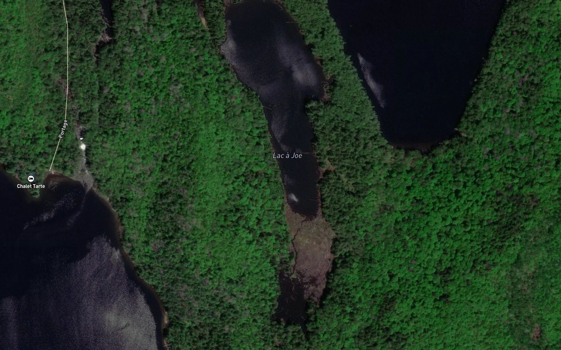 Satellite map of the Lac a Joe