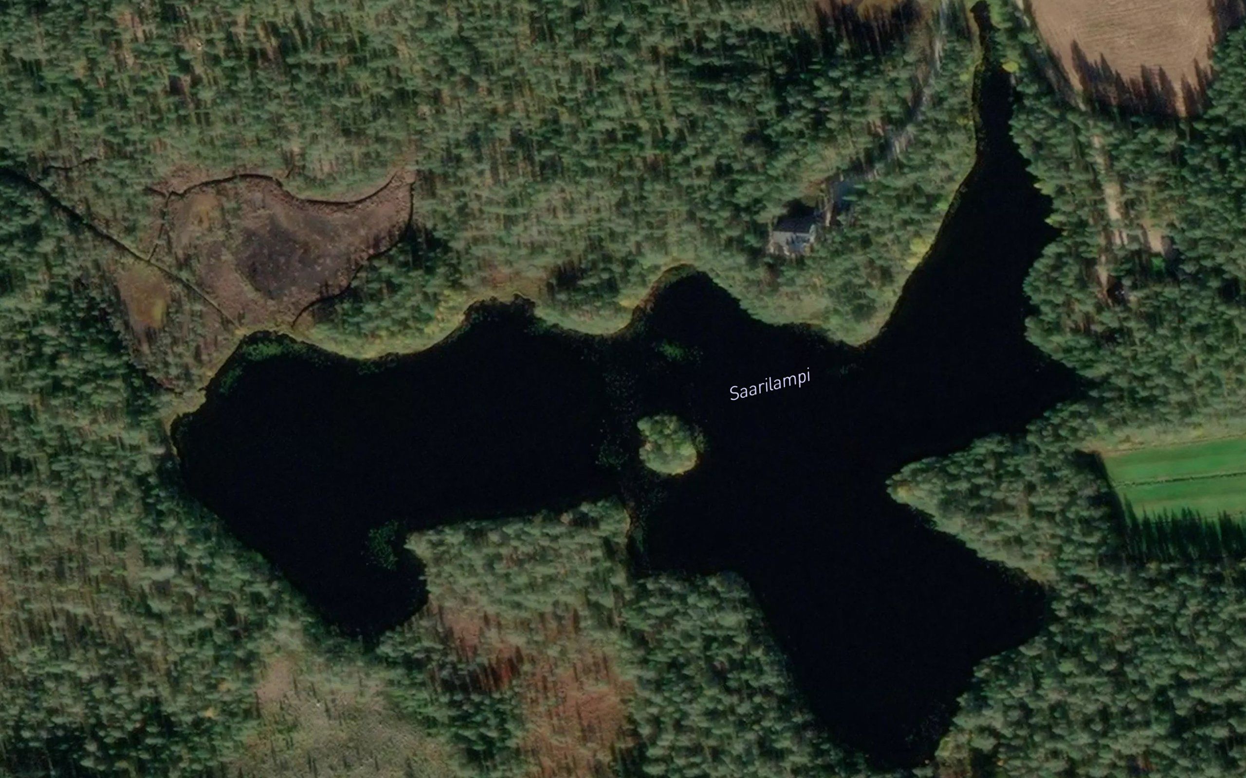 Saarilampi