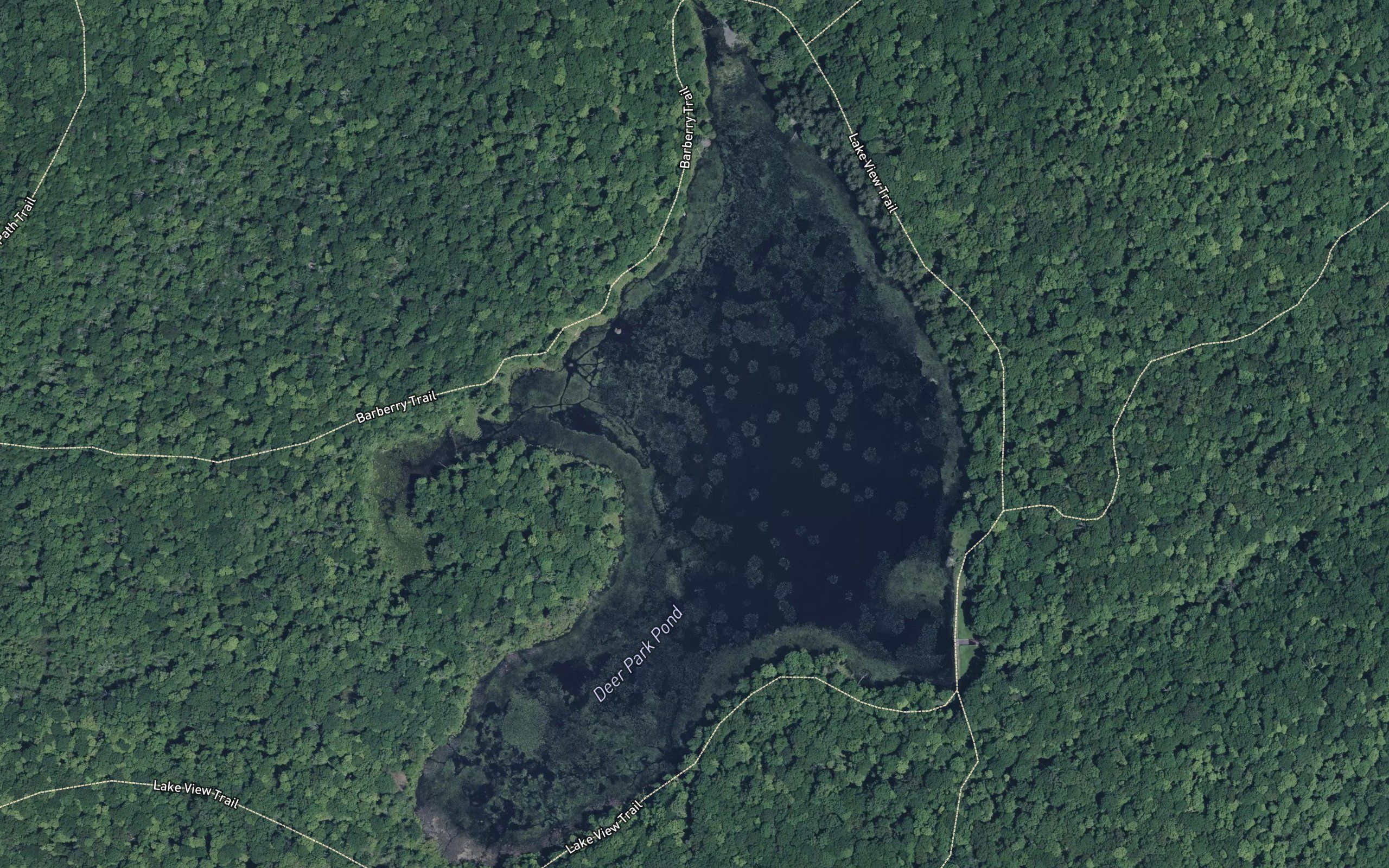 Deer Park Pond