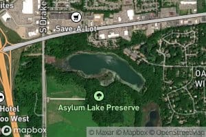 Asylum Lake