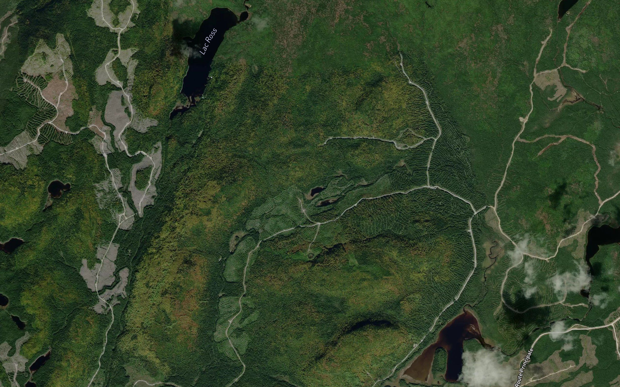 Lac des Hommes