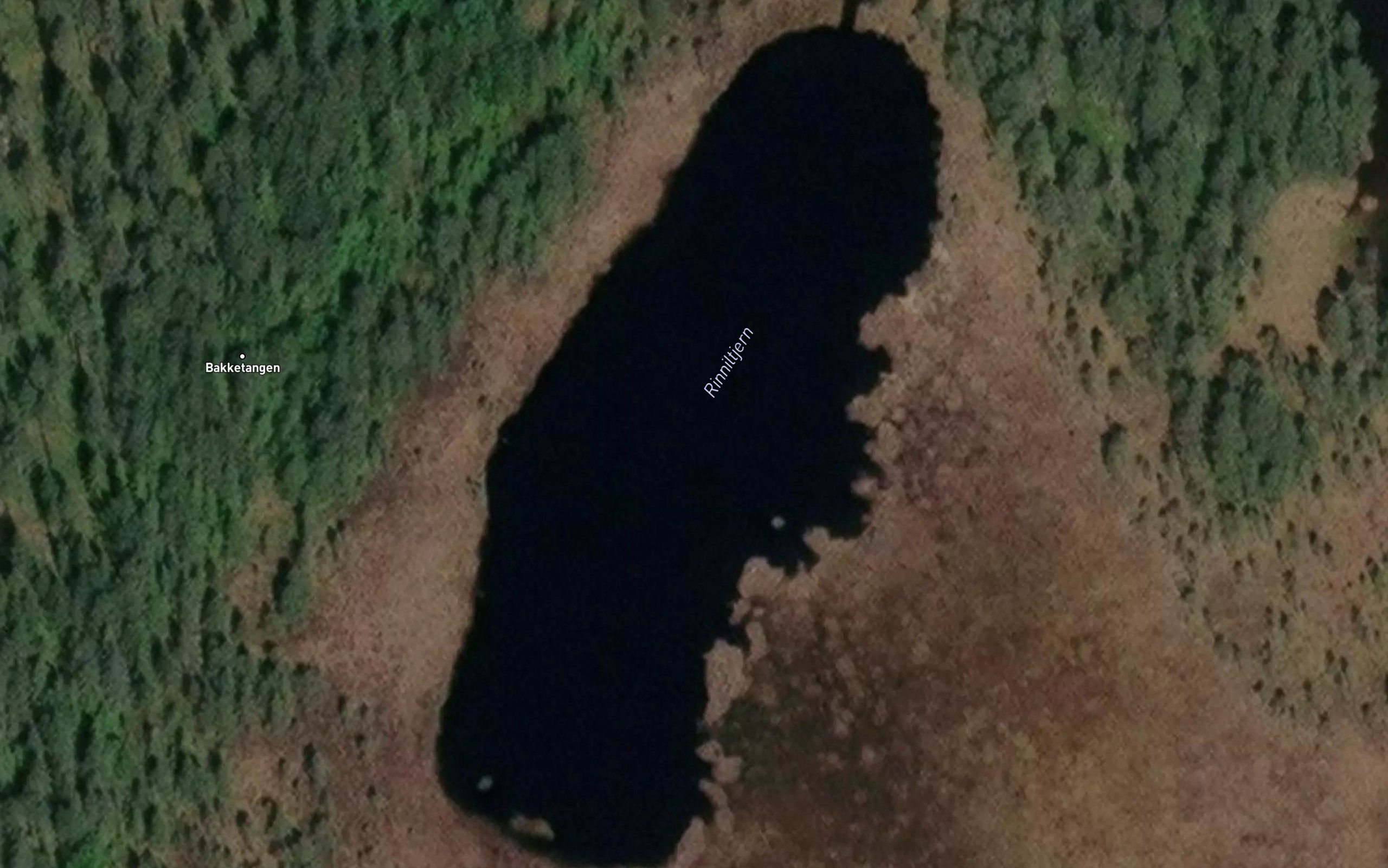 Rinniltjern