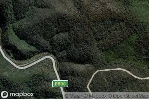 Shady Creek