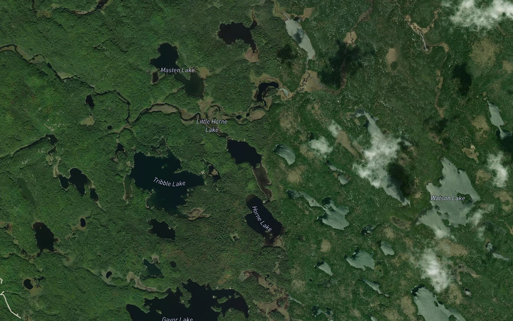 Satellite map of the Little Horne Lake