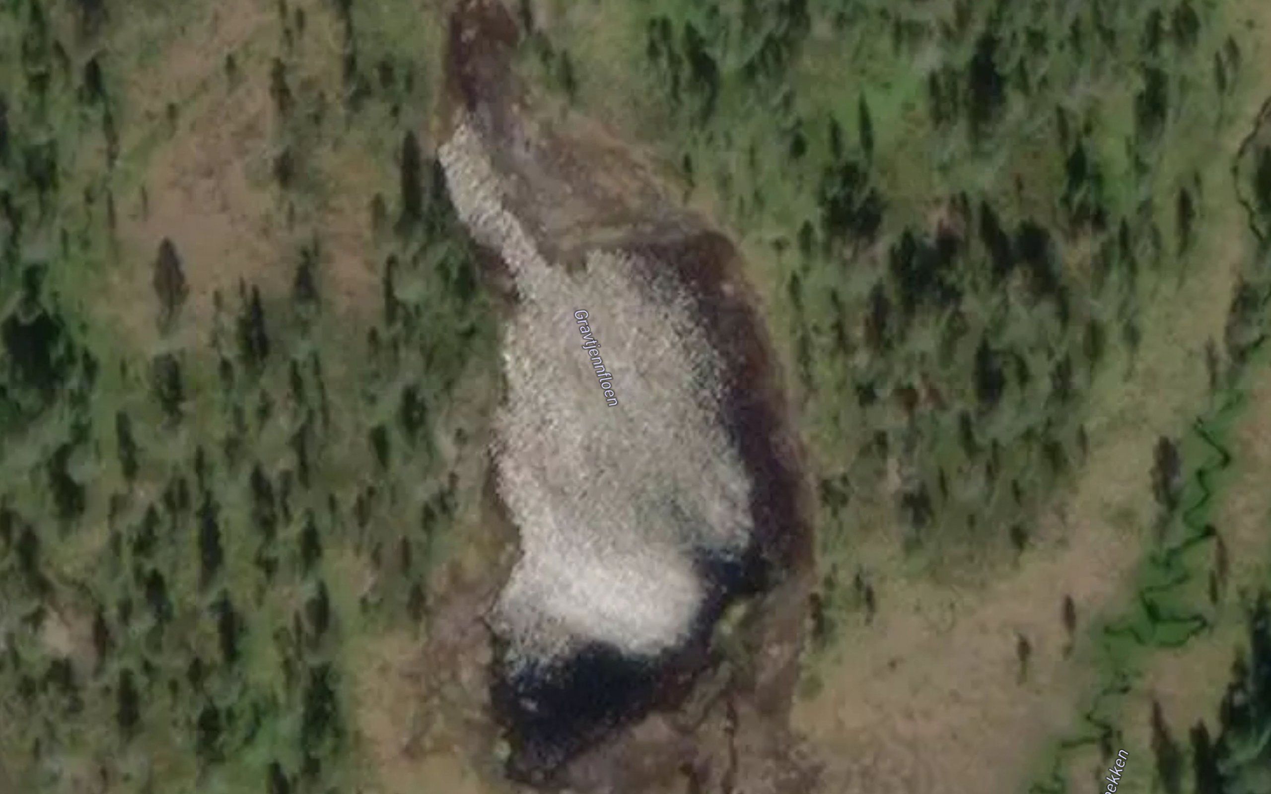 Gravtjornfloen