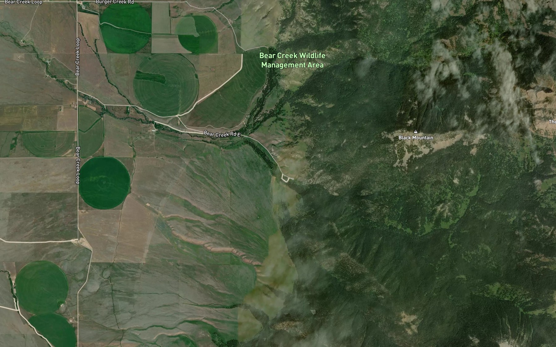 Satellite map of the Trail Fork Bear Creek